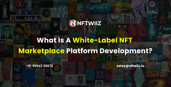 white label nft marketplace development